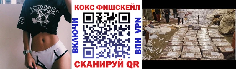 КОКАИН FishScale  Купить закладки  Закаменск 