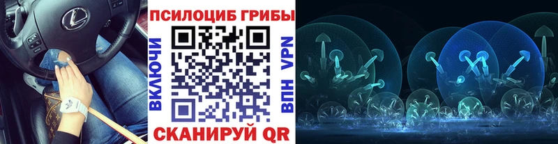 Псилоцибиновые грибы MAGIC MUSHROOMS  Купить где  Закаменск 